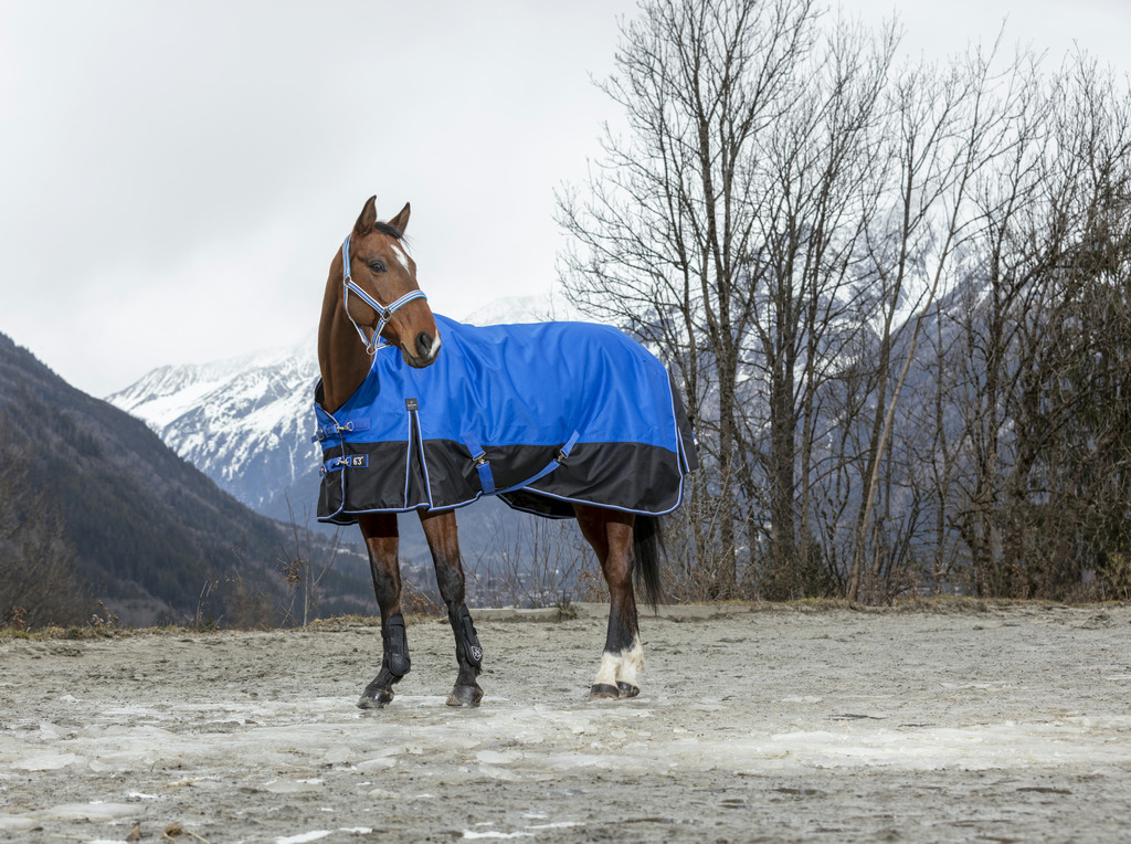EQUITHÈME TYREX 1200D "Aisance" High Neck Decke, 0g Füllung, Pferdedecke, blau/schwarz, Weidedecke