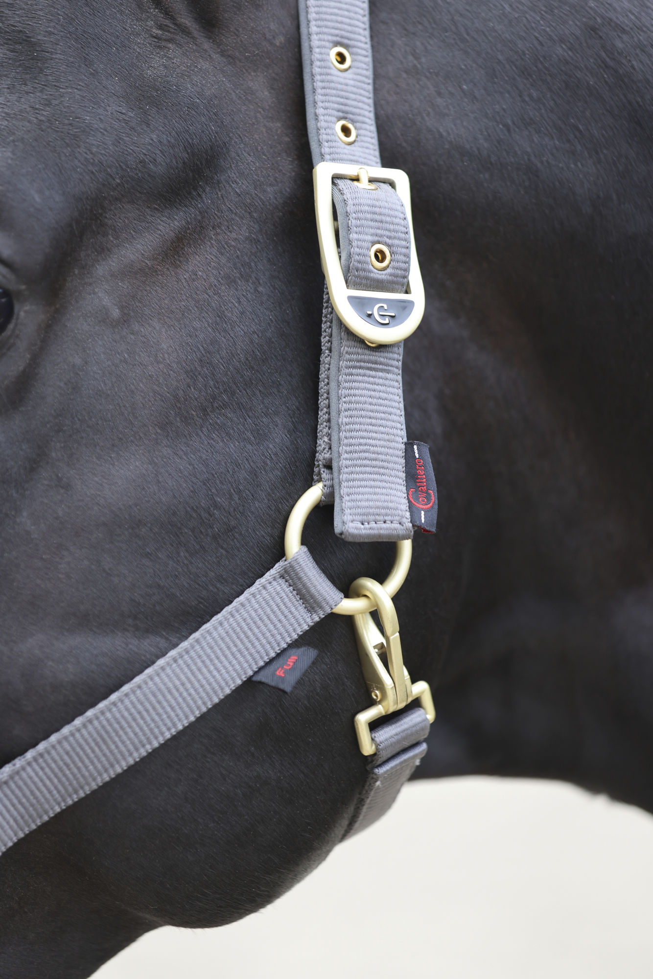 Covalliero Halfter Classy