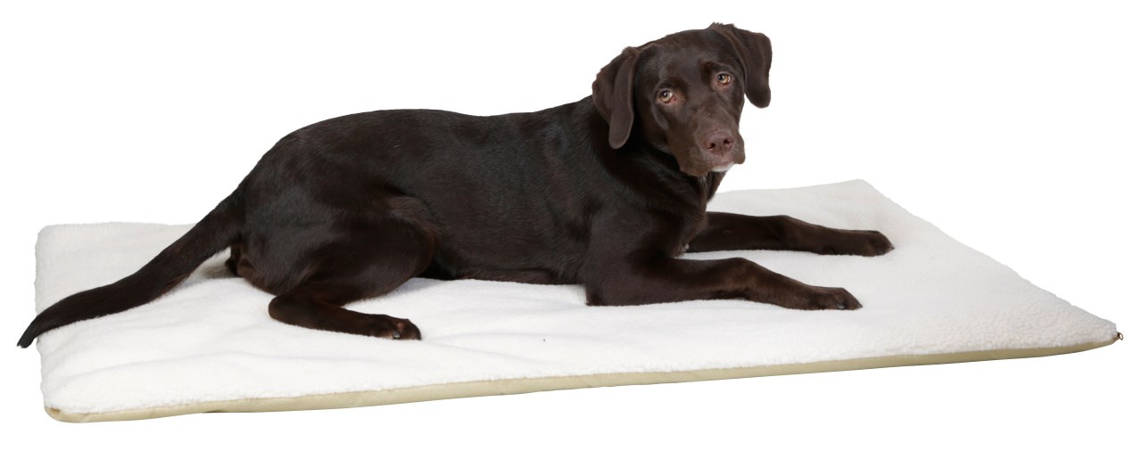 Kerbl  Liegekissen Theo, beige