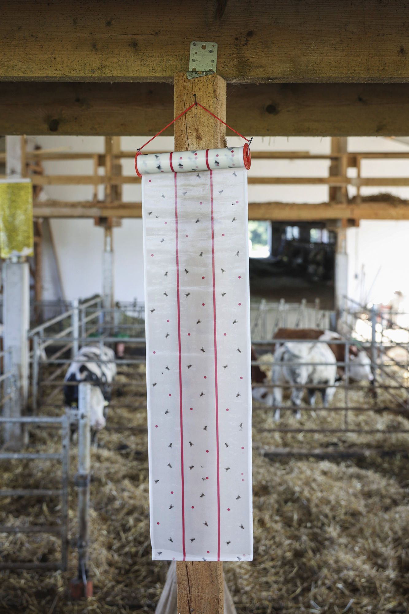 Kerbl Stallfliegenrolle ECO, für Biobetriebe geeignet, 10 m