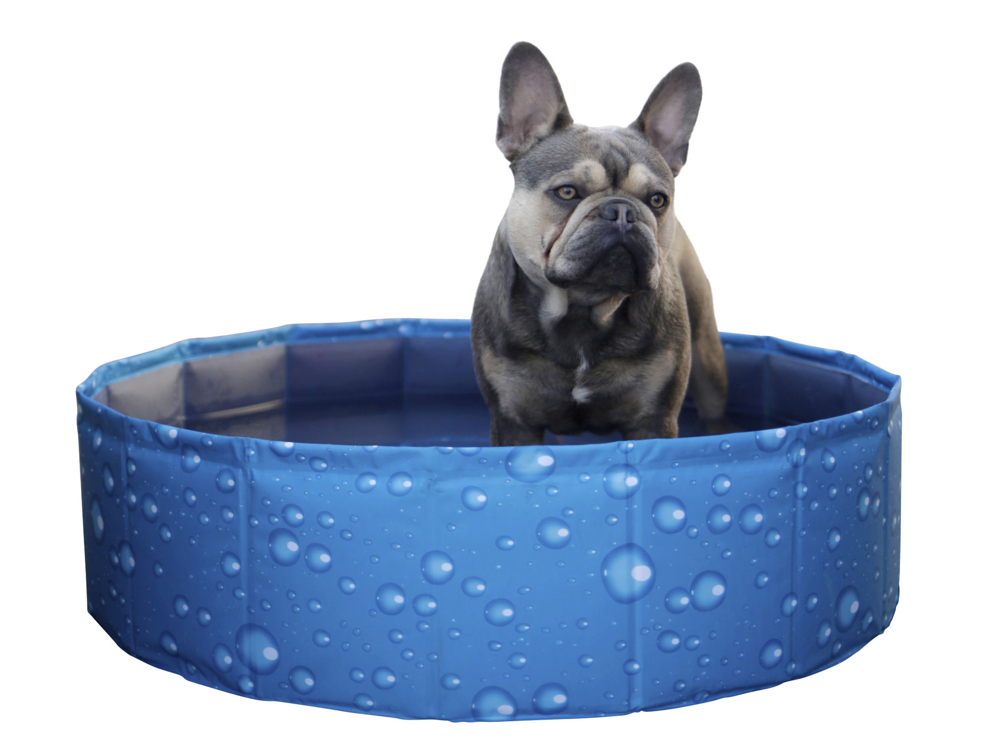 Kerbl Hundepool "Bubble", blau