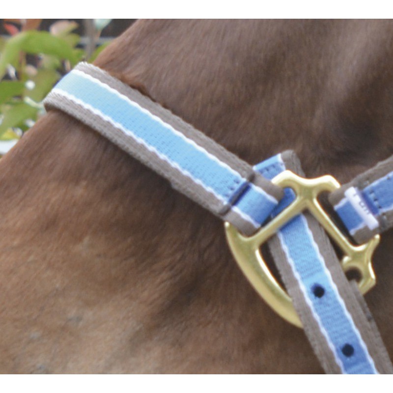 EQUITHÈME "Polyfun" Halfter