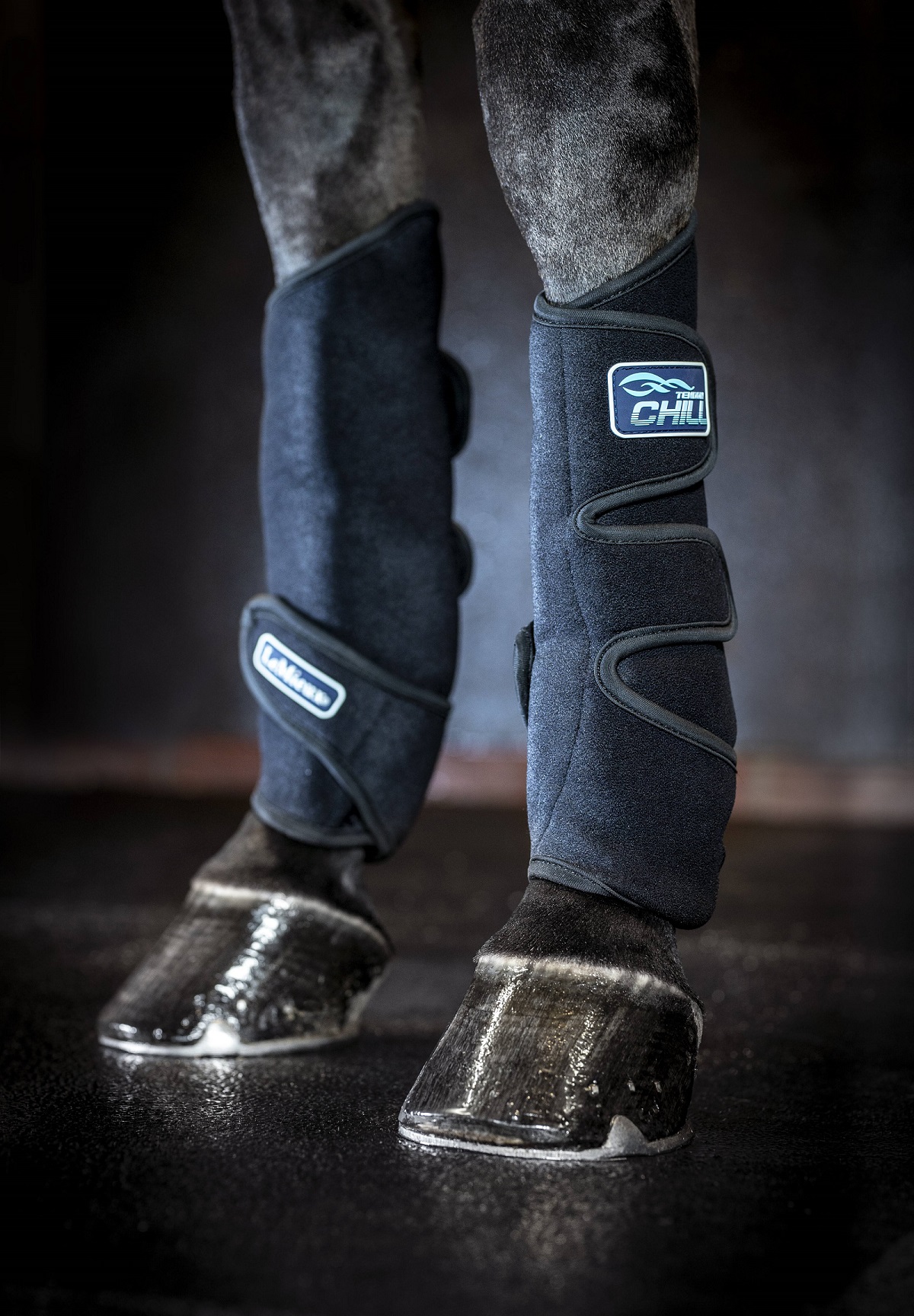 LeMieux Tendon Chill Boots, Kühlgamaschen, schwarz, Einheitsgröße