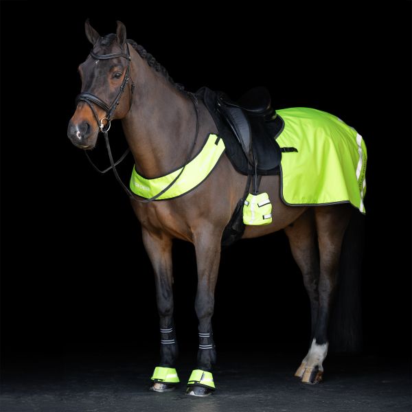 Imperial Riding Brustplatte IRHReflective