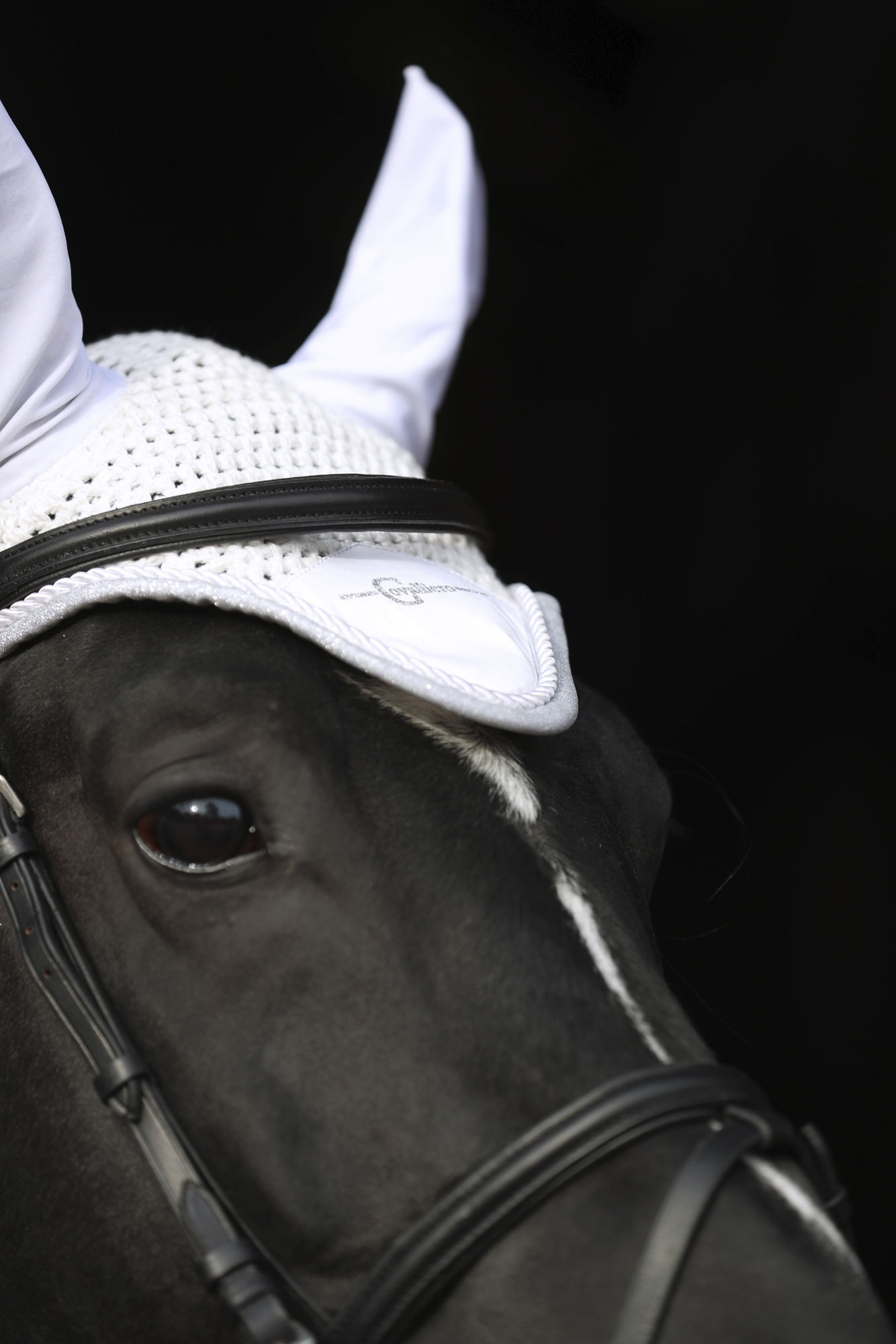 Covalliero Fliegenhaube Empara, Cob/Full
