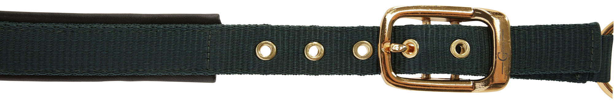Covalliero Halfter TopLine