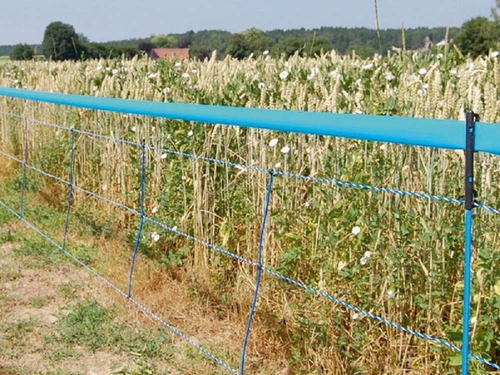WildNet Signalband, blau, 250 m