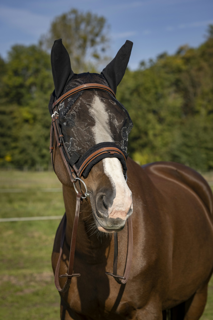 EQUITHÈME "Training" Antifliegenmaske, schwarz