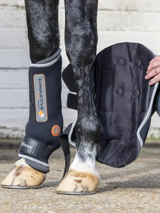LeMieux  Conductive Magno Boots