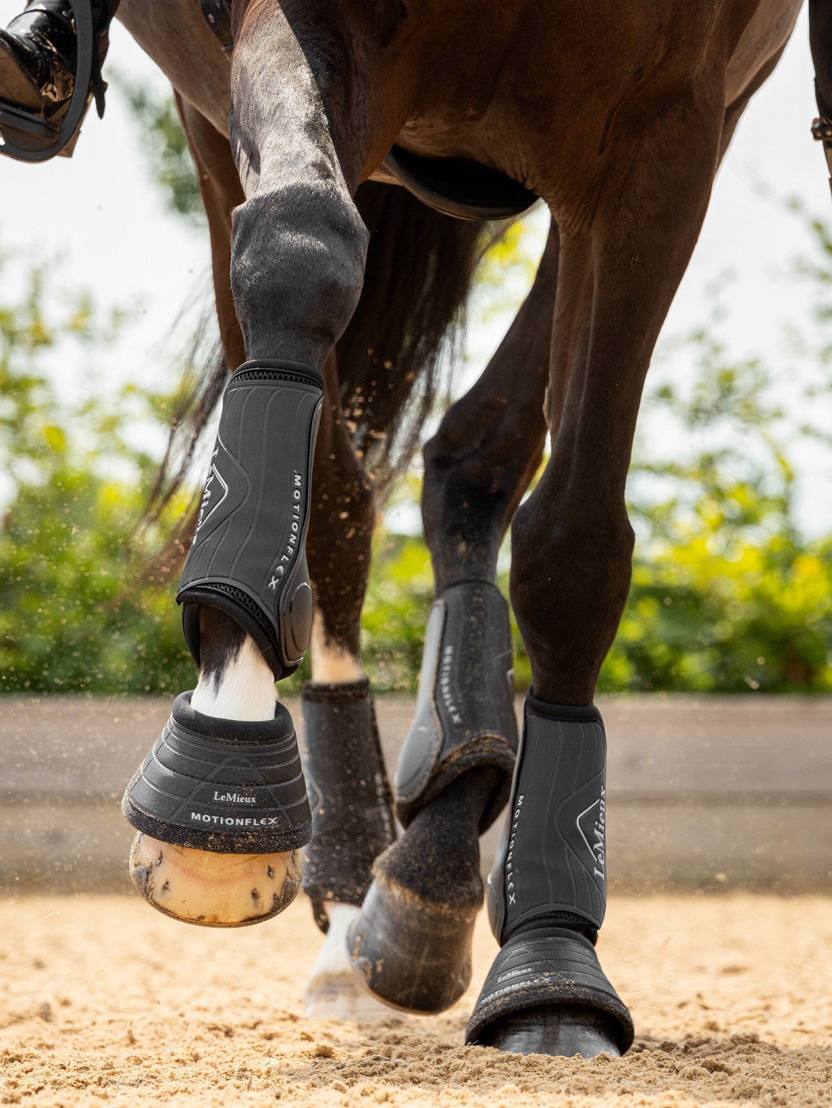 LeMieux Motionflex Dressage Boot, Dressurgamaschen, Gamaschen