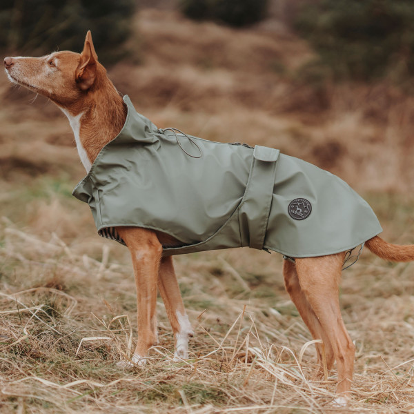 Hunter Hunde-Regenmantel Milford