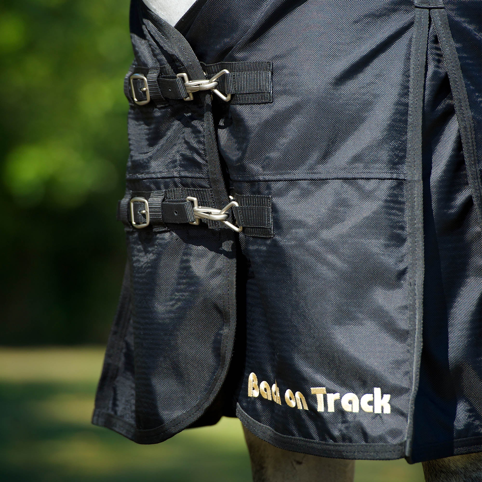 Back on Track Regendecke