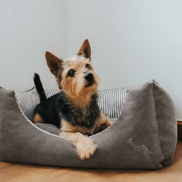 Hunter Hundesofa Pamla, grau