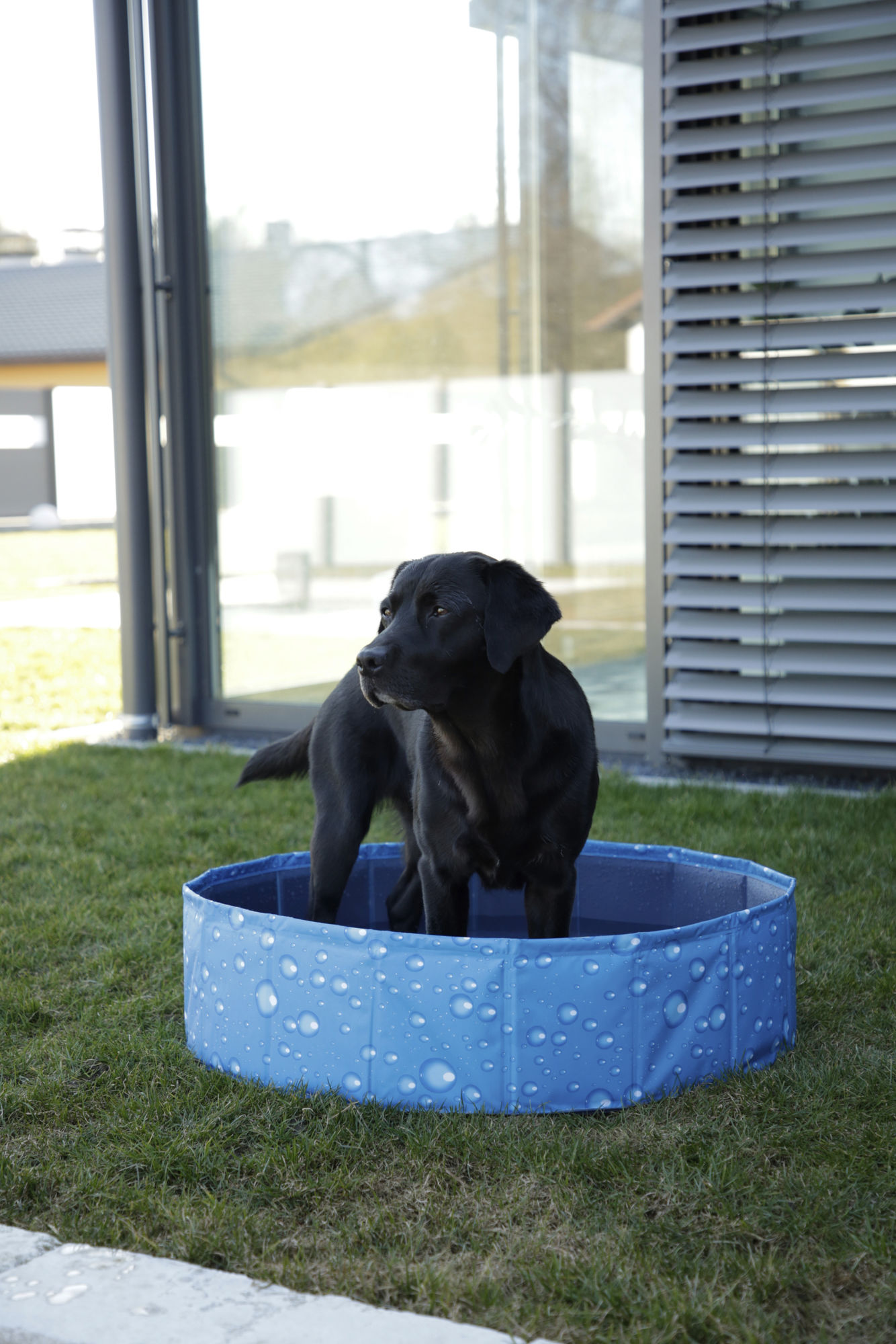Kerbl Hundepool "Bubble", blau