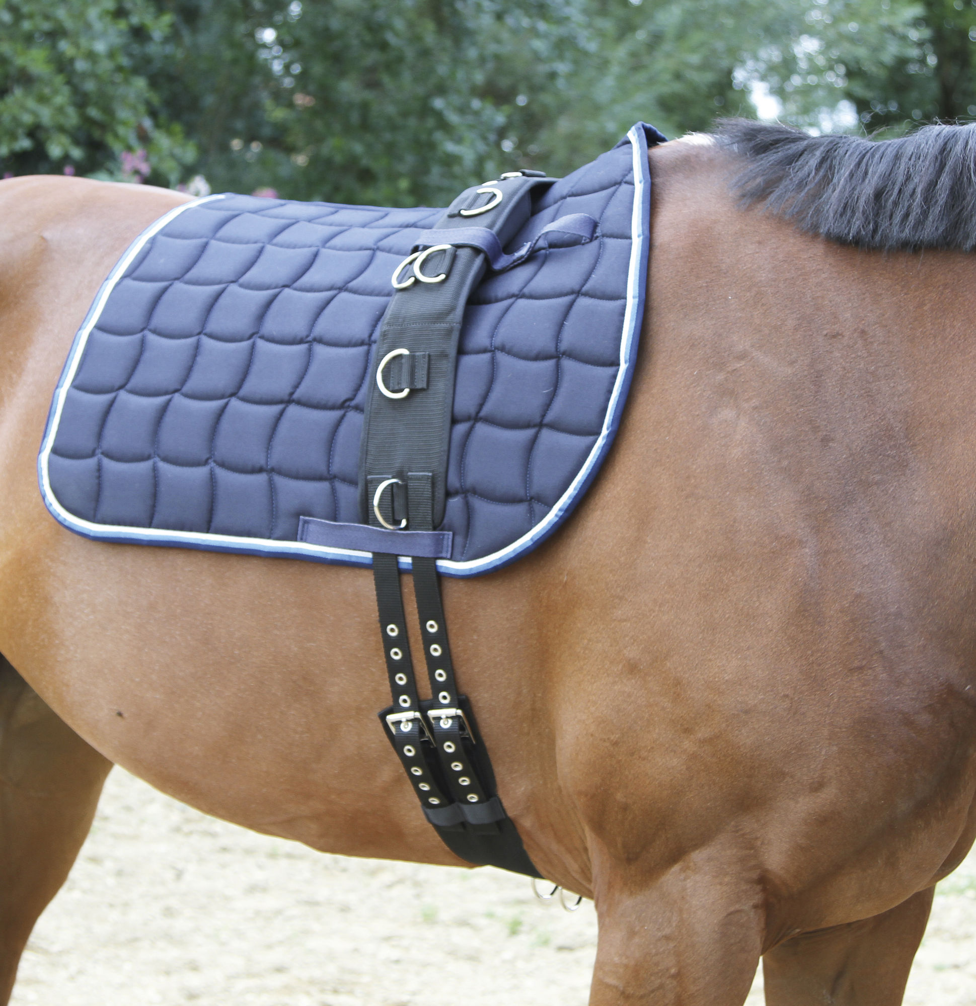 Covalliero Longiergurt, breit, 9 Ringe, mit verstellbarem Bauchgurt, schwarz, Pony
