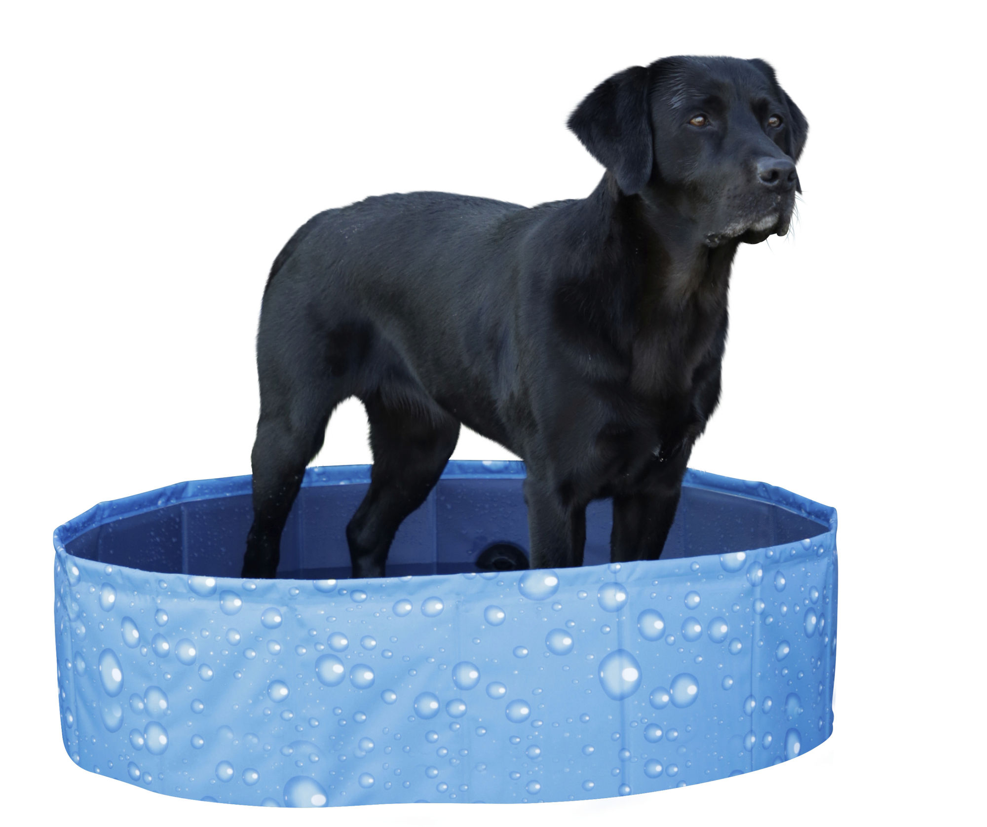 Kerbl Hundepool "Bubble", blau
