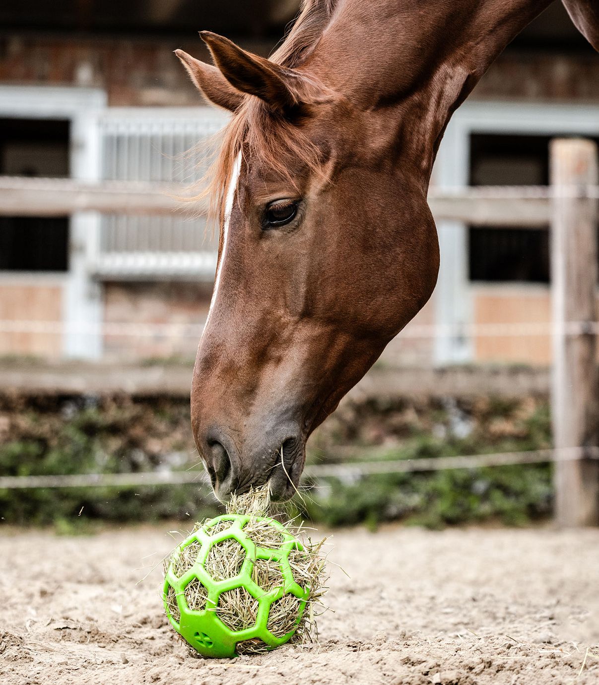 Waldhausen Heuball verschiedene Farben