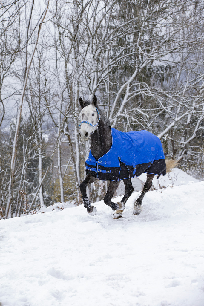 EQUITHÈME TYREX 1200D "Aisance" High Neck Decke, 0g Füllung, Pferdedecke, blau/schwarz, Weidedecke