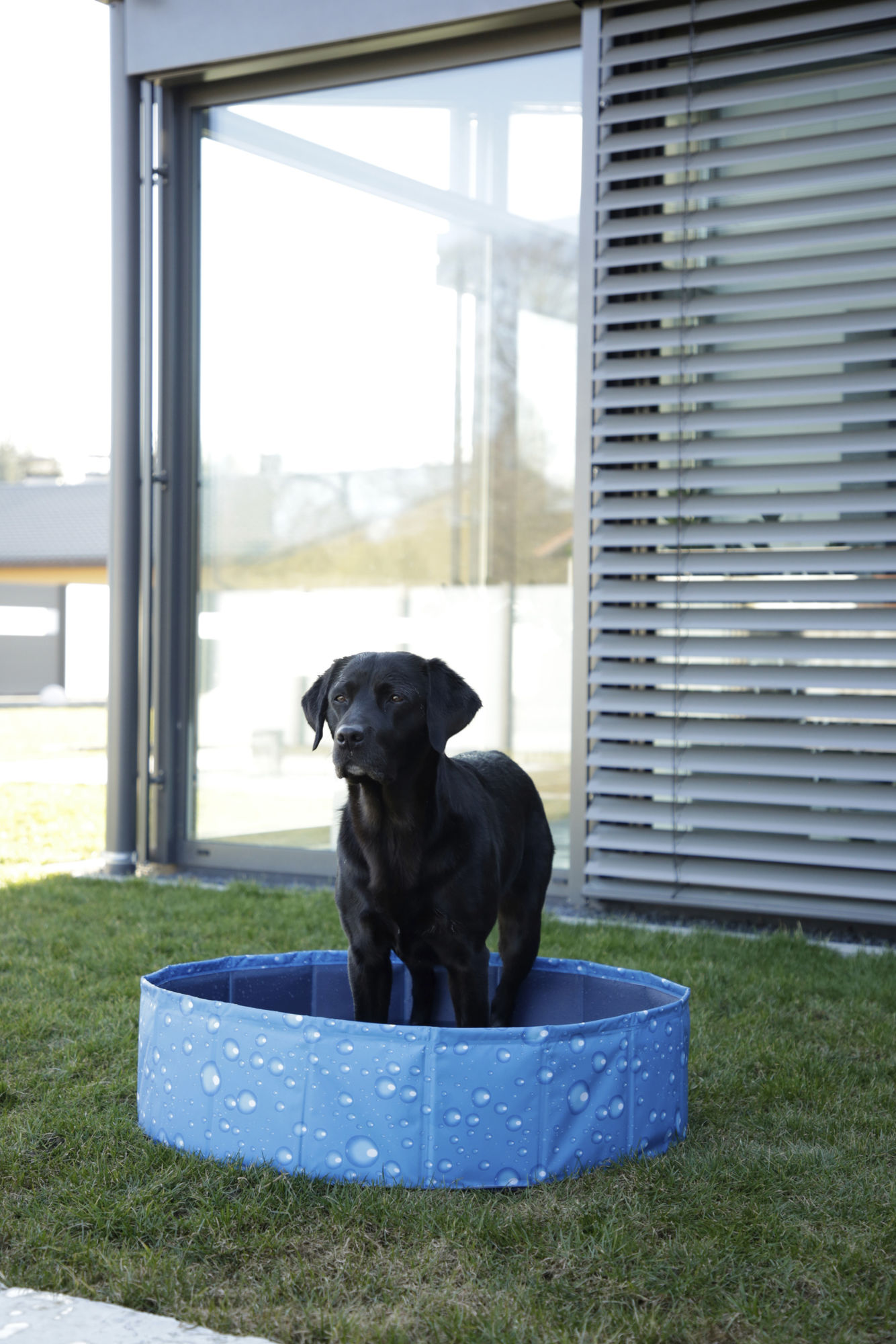 Kerbl Hundepool "Bubble", blau