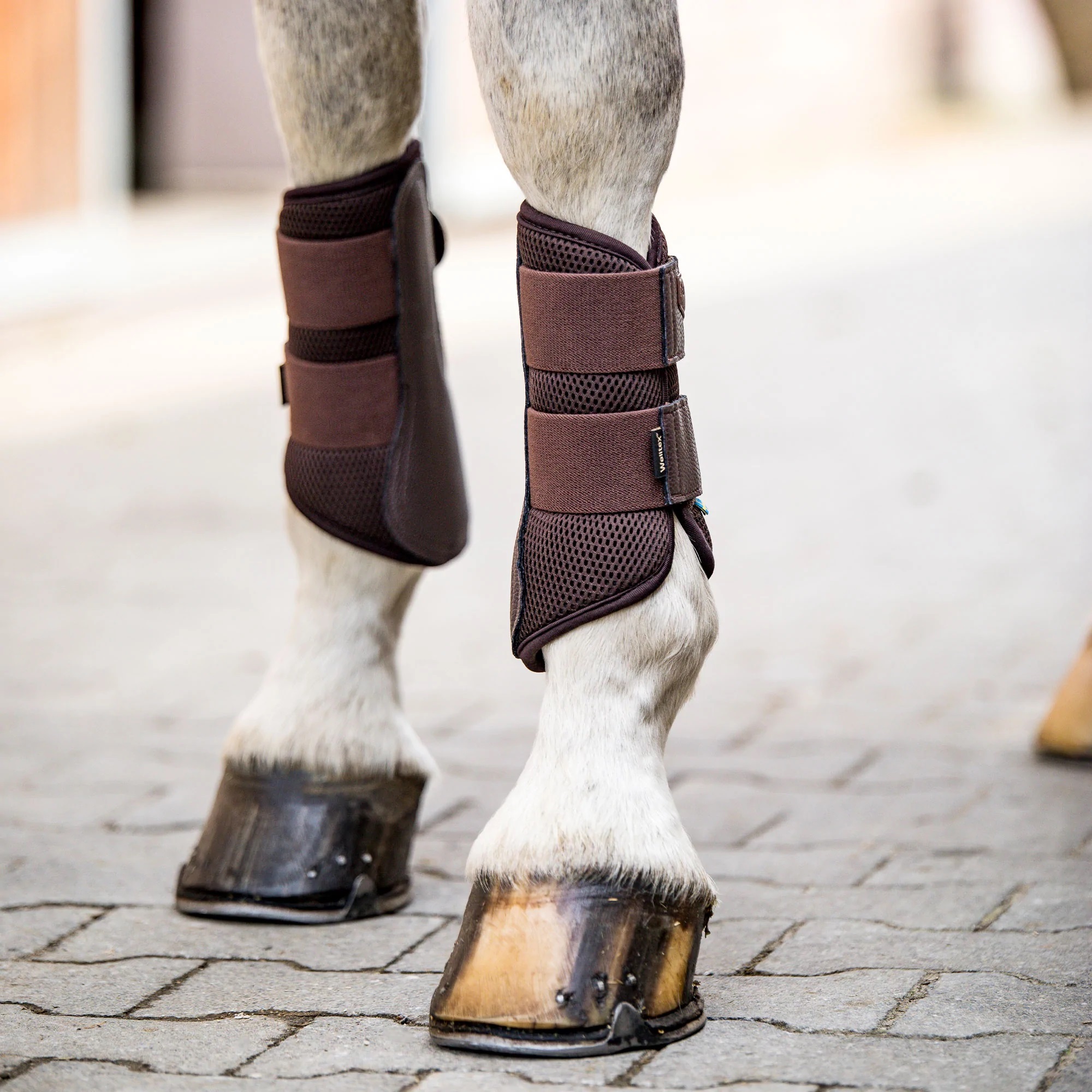 Back on Track Airflow Brush Boots, Gamaschen, braun