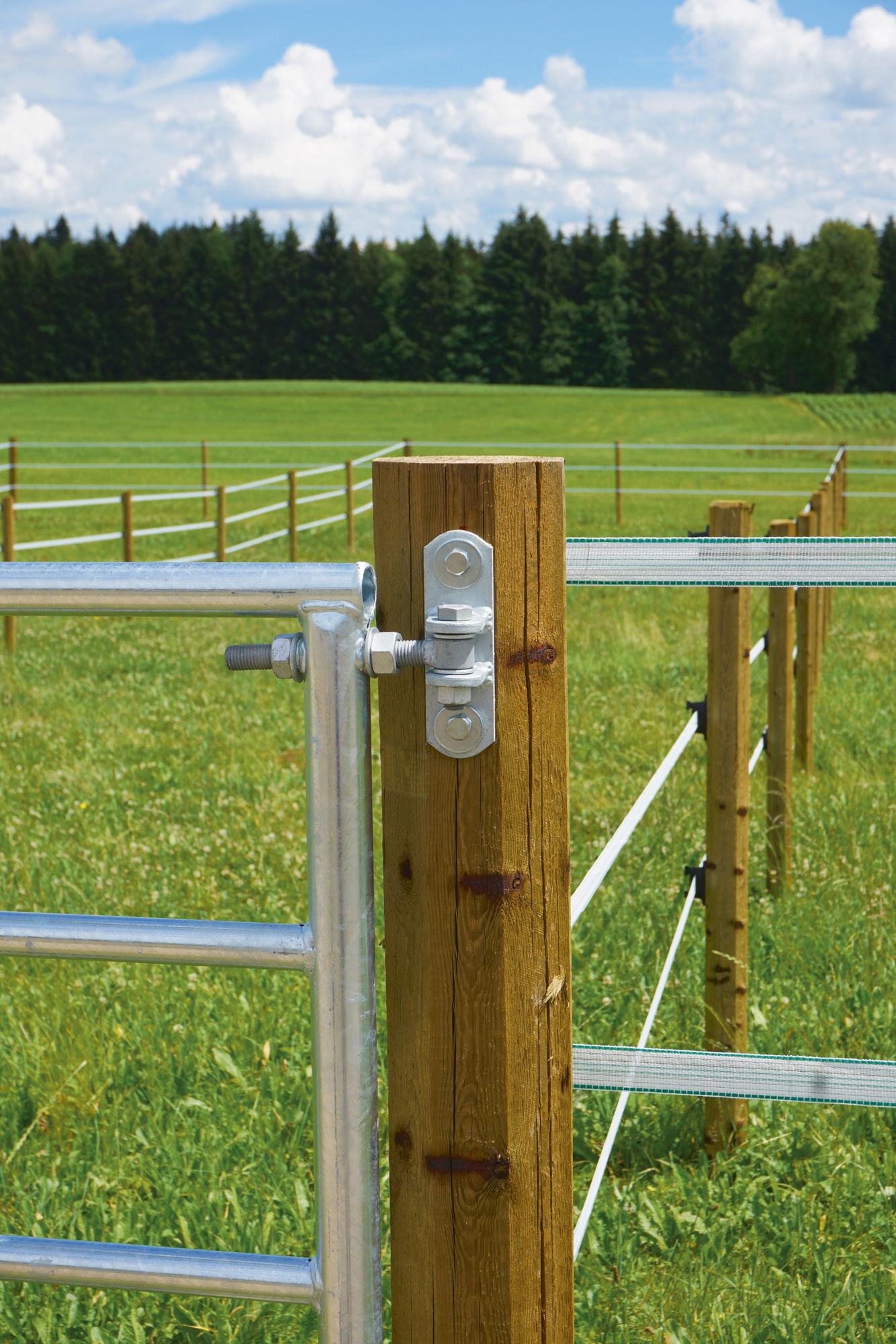 Kerbl Weidetor, ausziehbar, Stahl