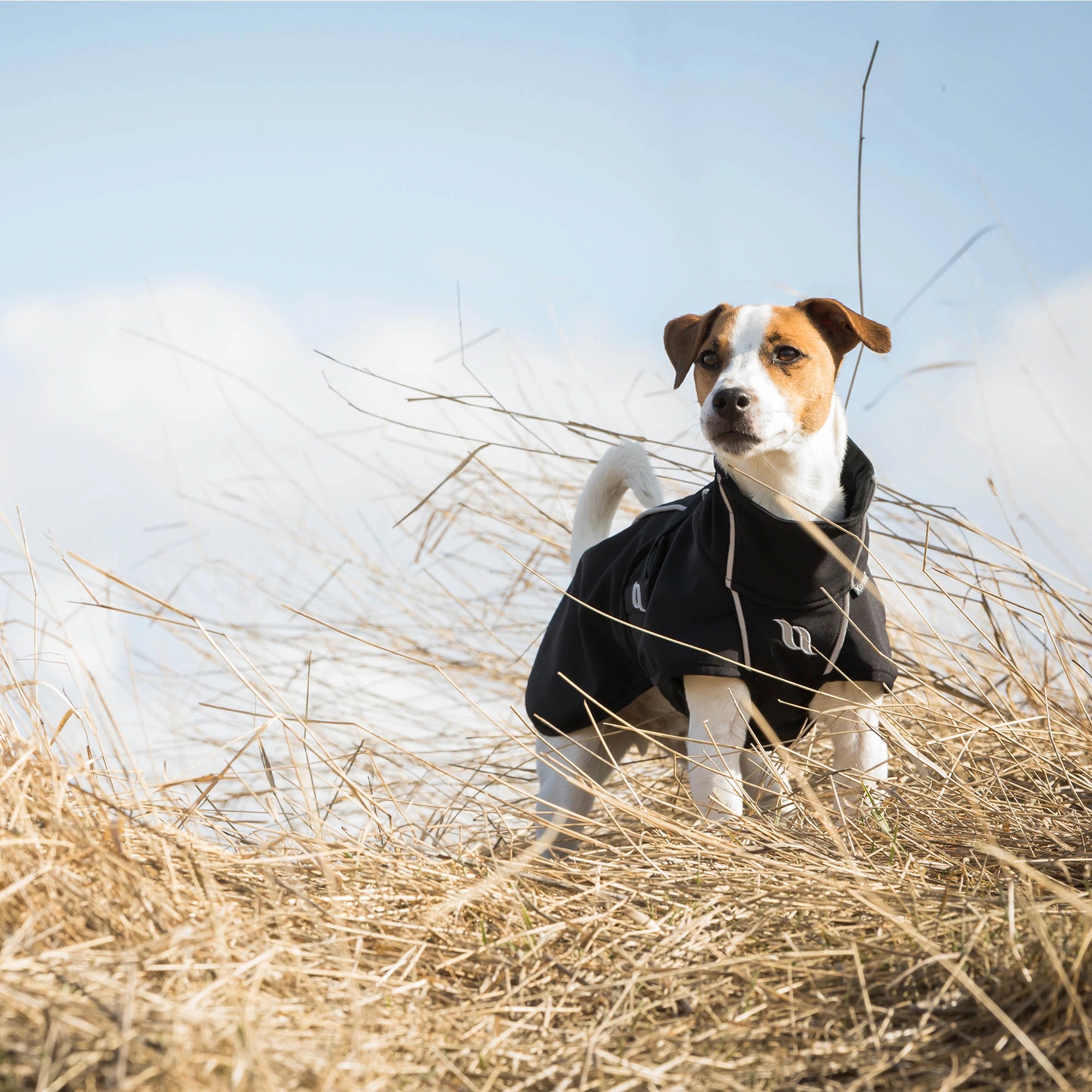 Back on Track Hundemantel Bark, schwarz, Allround Mantel
