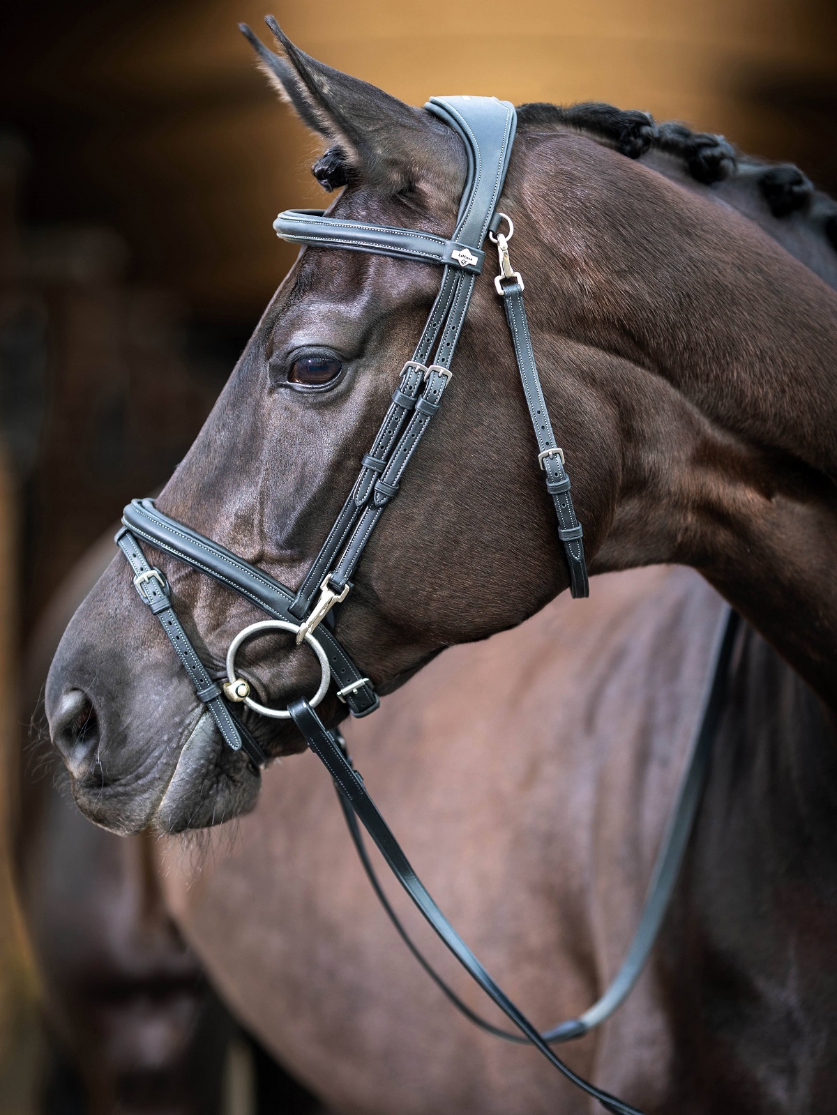 LeMieux Work Bridle, Arbeitstrense, Trense