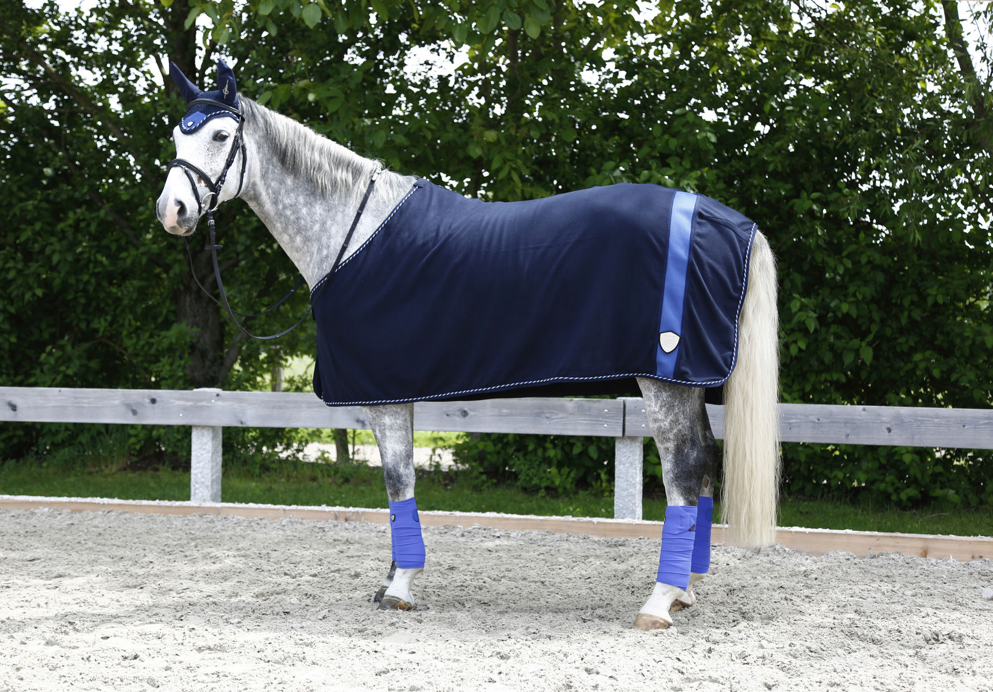 Covalliero Fliegenhaube Tampa, Full