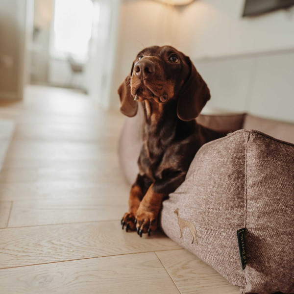 Hunter Hundesofa Boston Cozy