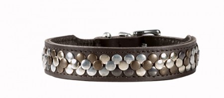 Hunter Halsband Arizona