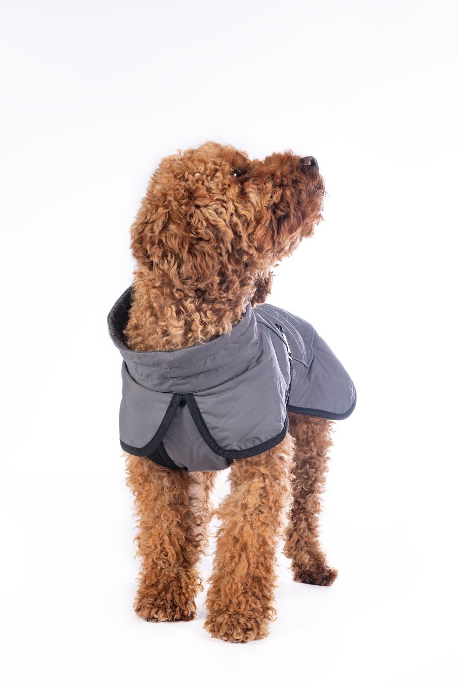 HKM Hundemantel "Buddy" dunkelgrau mit Fleecefutter,XL,Sale