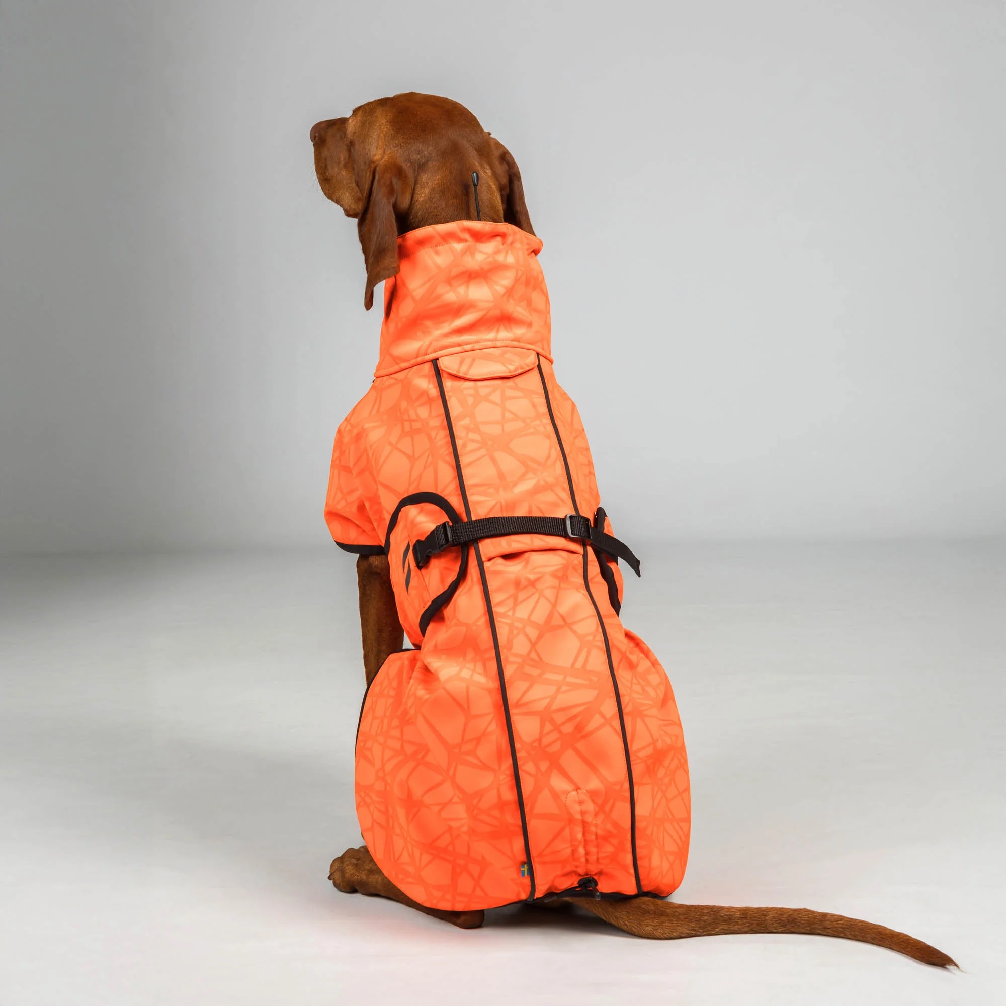 Back on Track Hundemantel Bark, orange, Allwetter Mantel