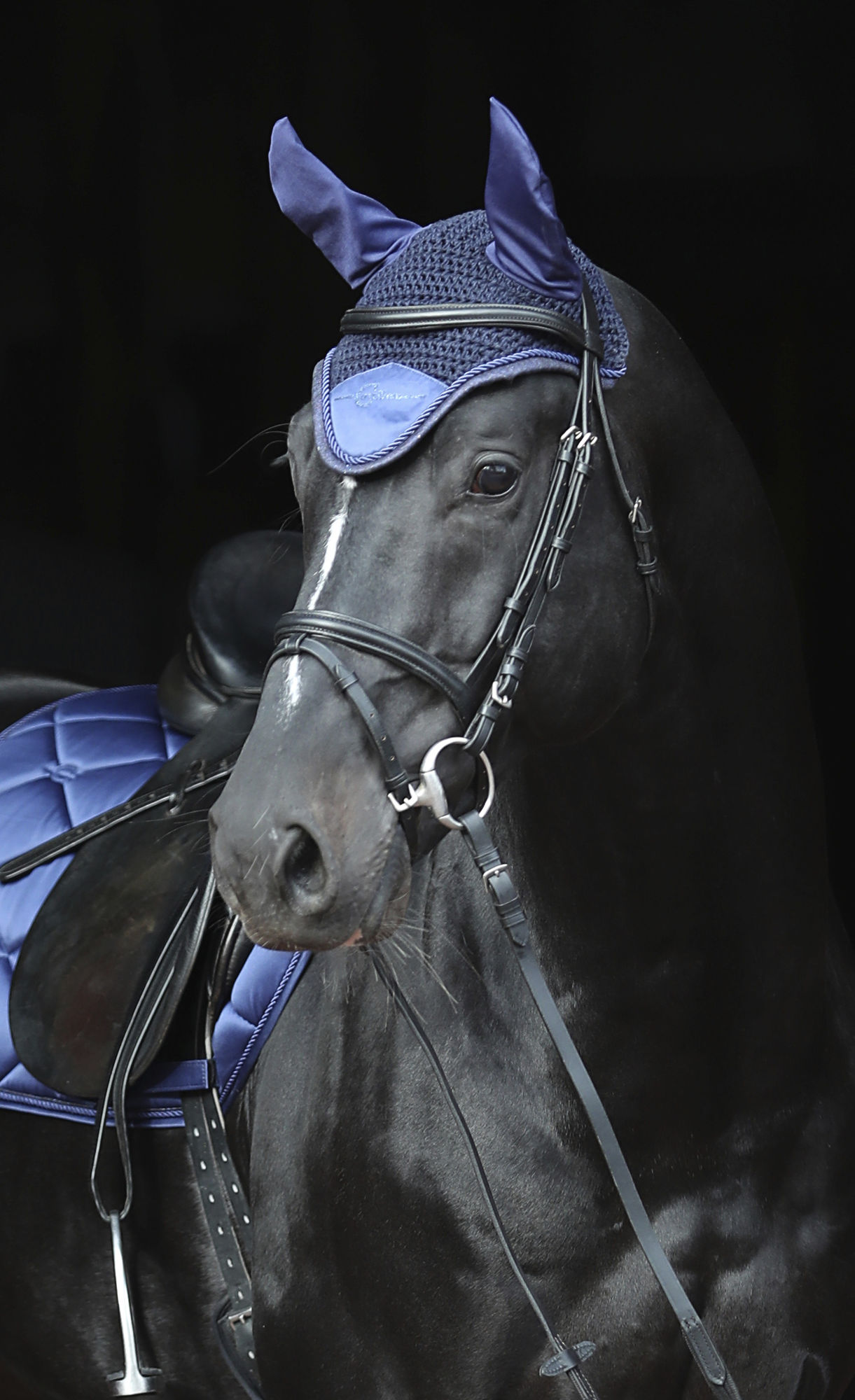 Covalliero Fliegenhaube Empara, Cob/Full