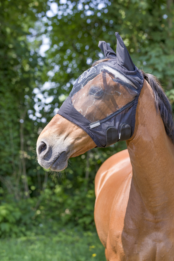 EQUITHÈME "RipStop" Fliegenmaske, schwarz