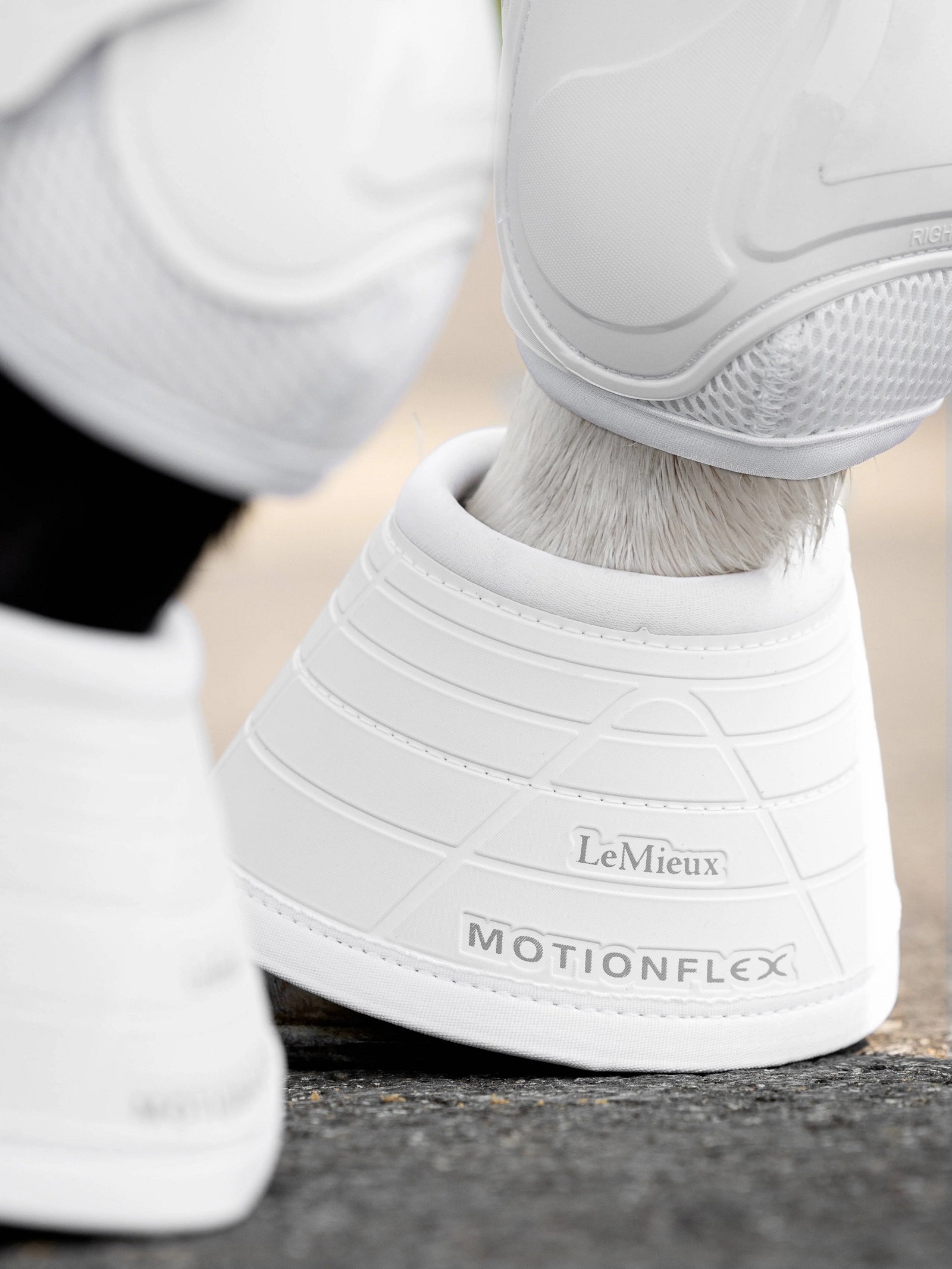 LeMieux Motionflex Over Reach Boot, Hufglocken