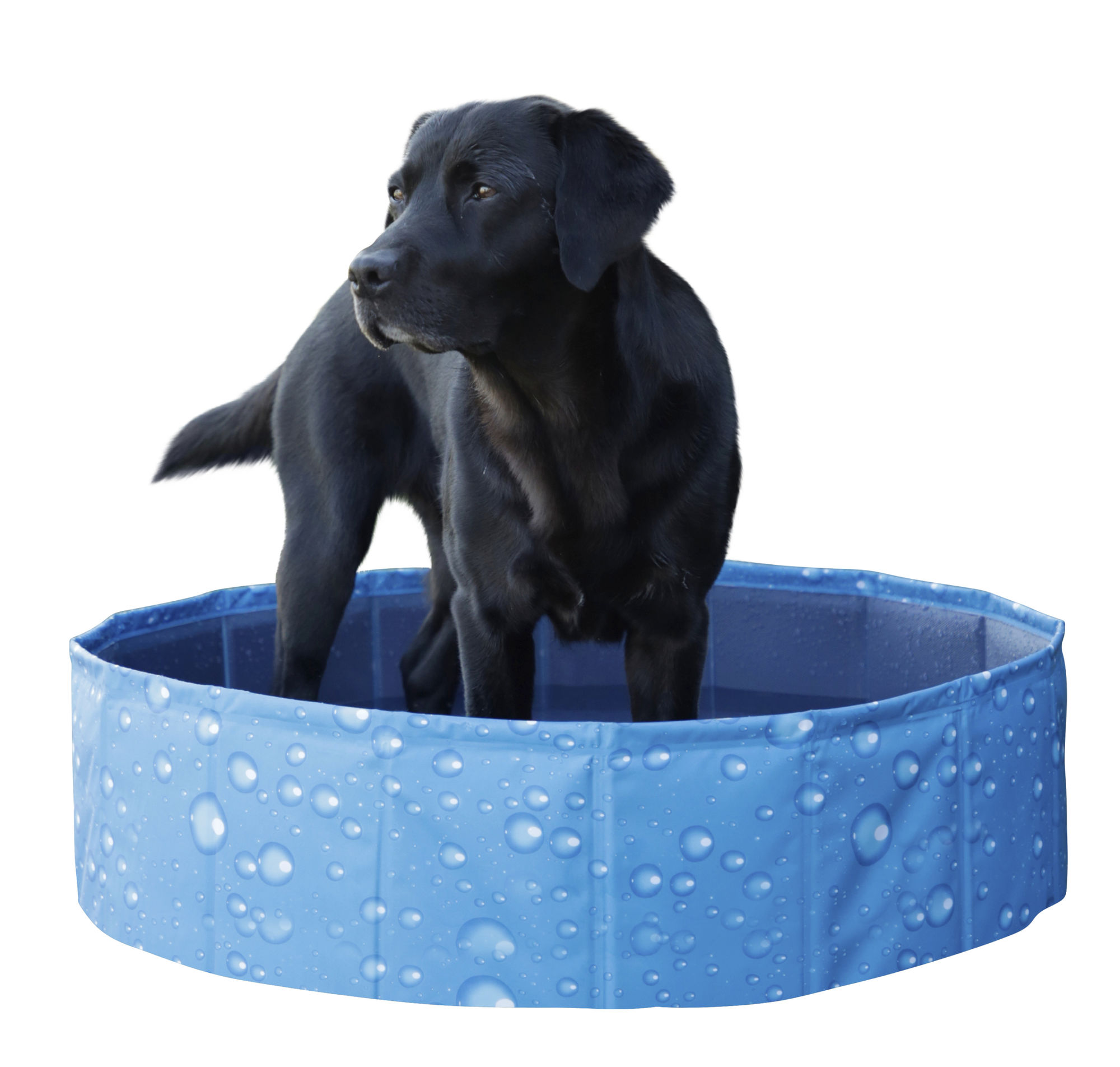 Kerbl Hundepool "Bubble", blau