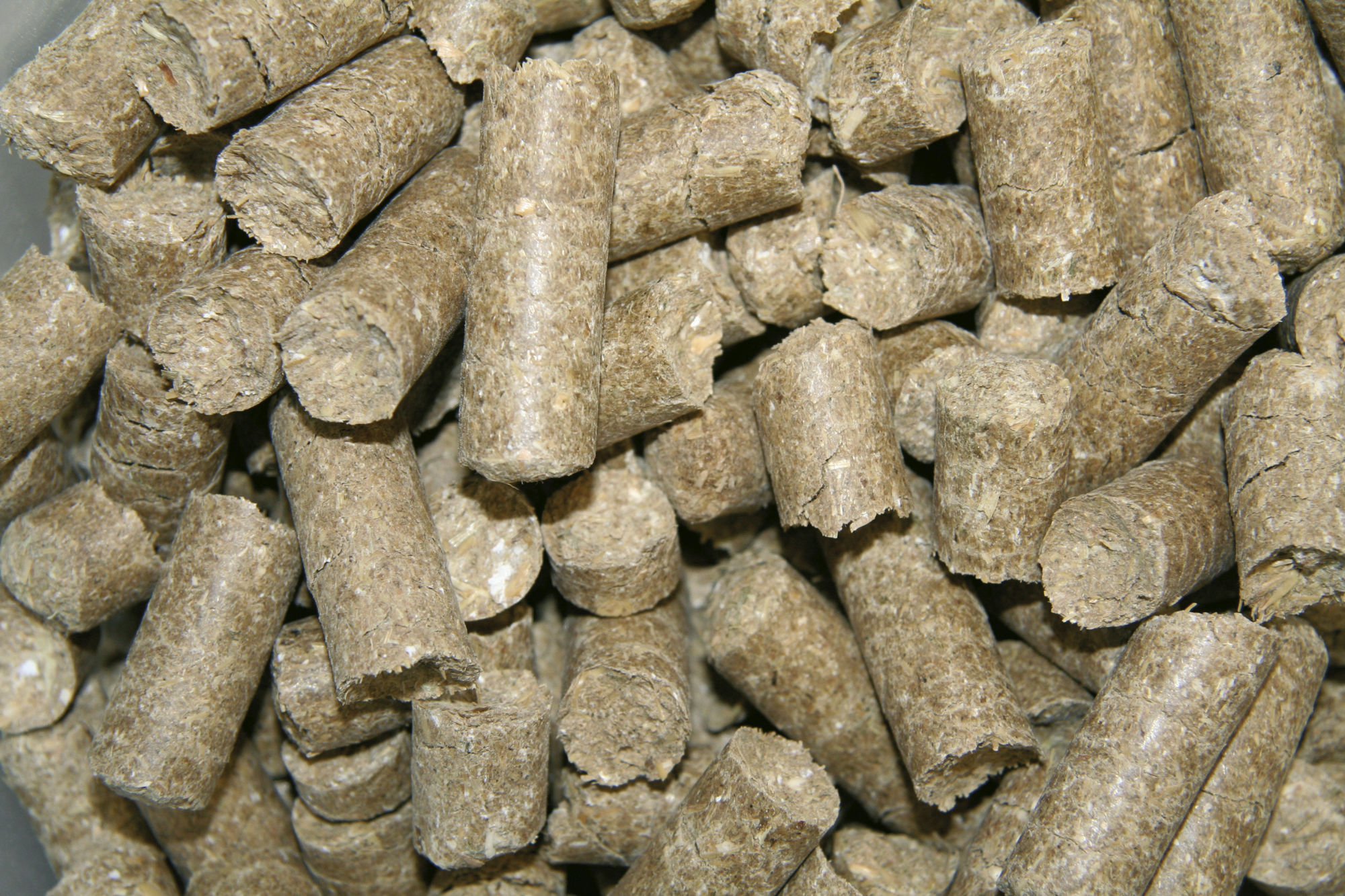 Delizia® Belohnungswürfel Classic