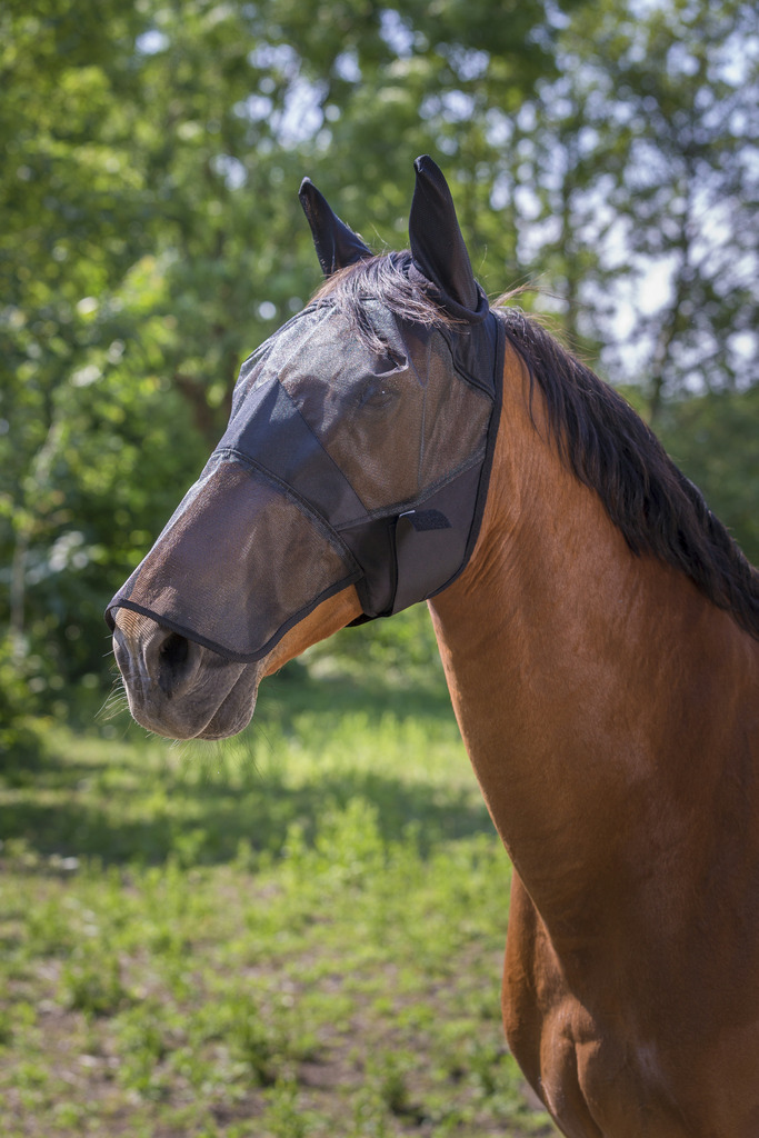 EQUITHÈME "Confort" Antifliegenmaske, schwarz