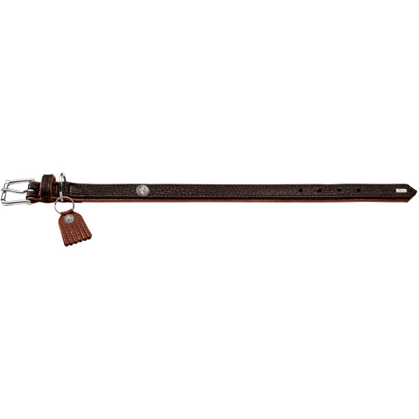 Hunter Halsband Cody