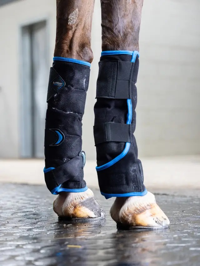 LeMieux Freeze Flow Ice Boot, Front, Kühlgamaschen, schwarz