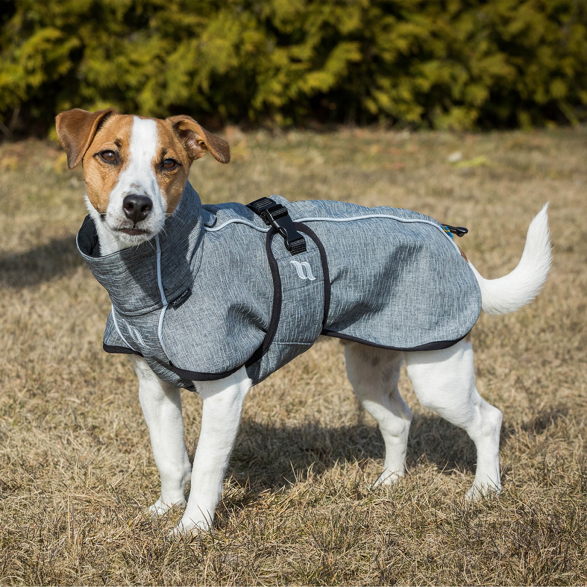 Back on Track Hundemantel Bark, grau, Allround Mantel