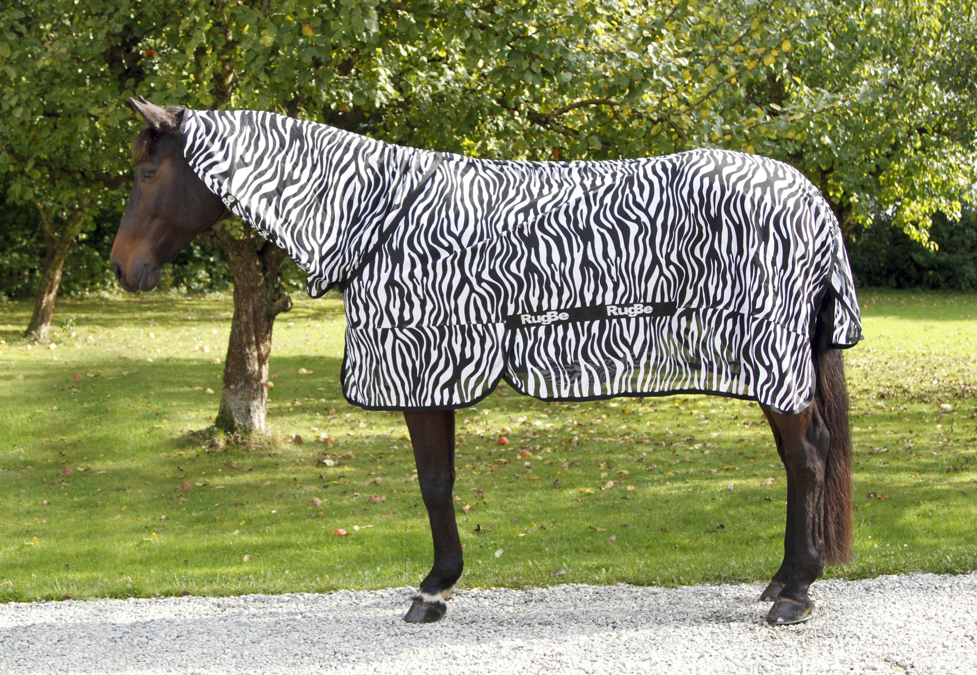 Covalliero Fliegendecke Zebra, weiß/schwarz, inkl. Halsteil
