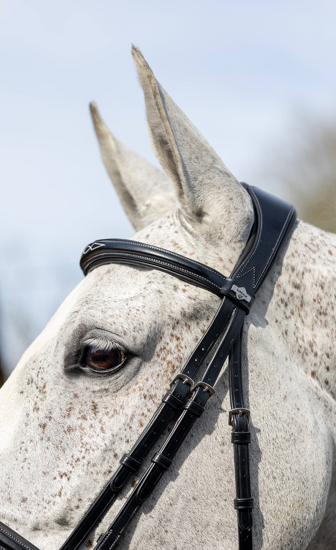 LeMieux Kudos Competition Flash Bridle, Turniertrense, Trense