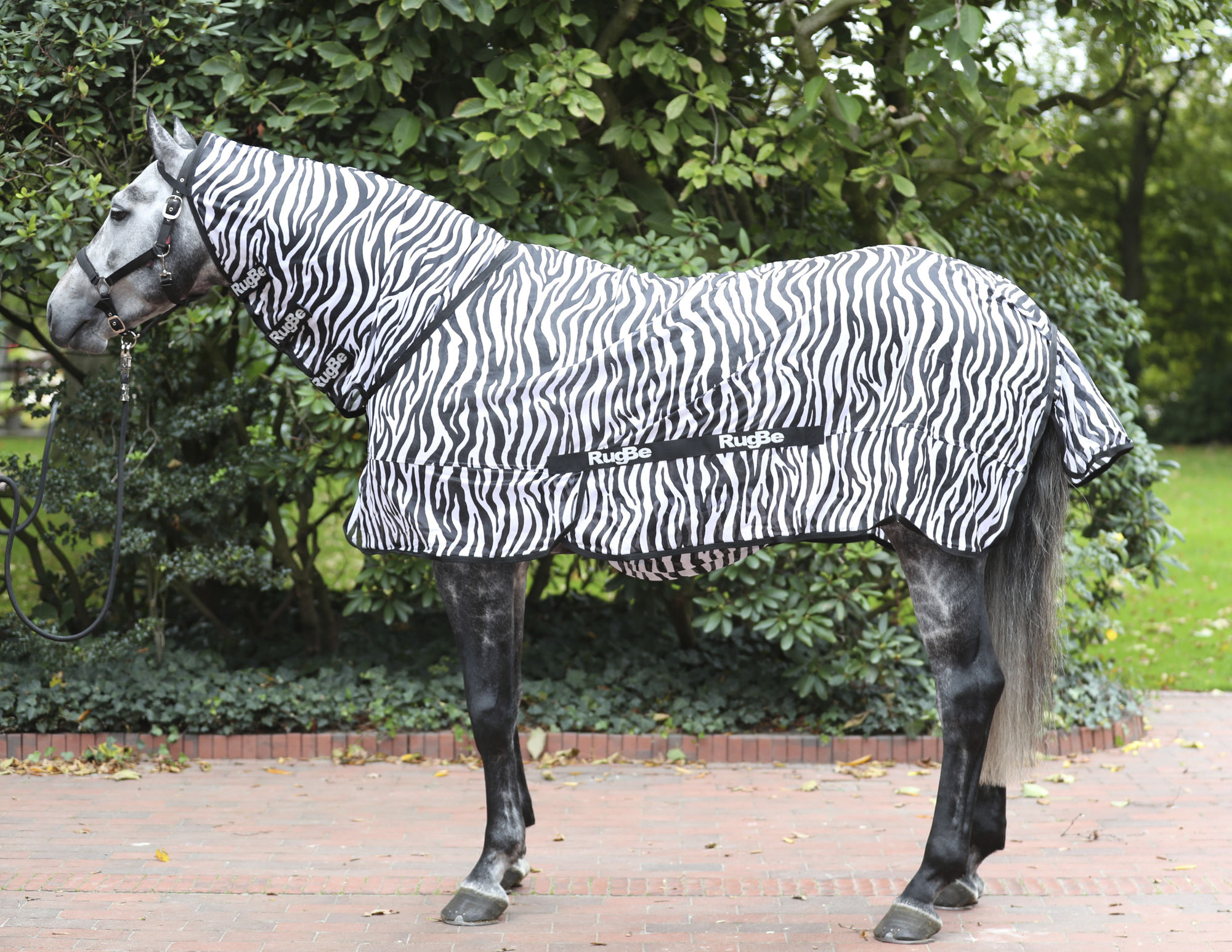 Covalliero Fliegendecke Zebra, weiß/schwarz, inkl. Halsteil