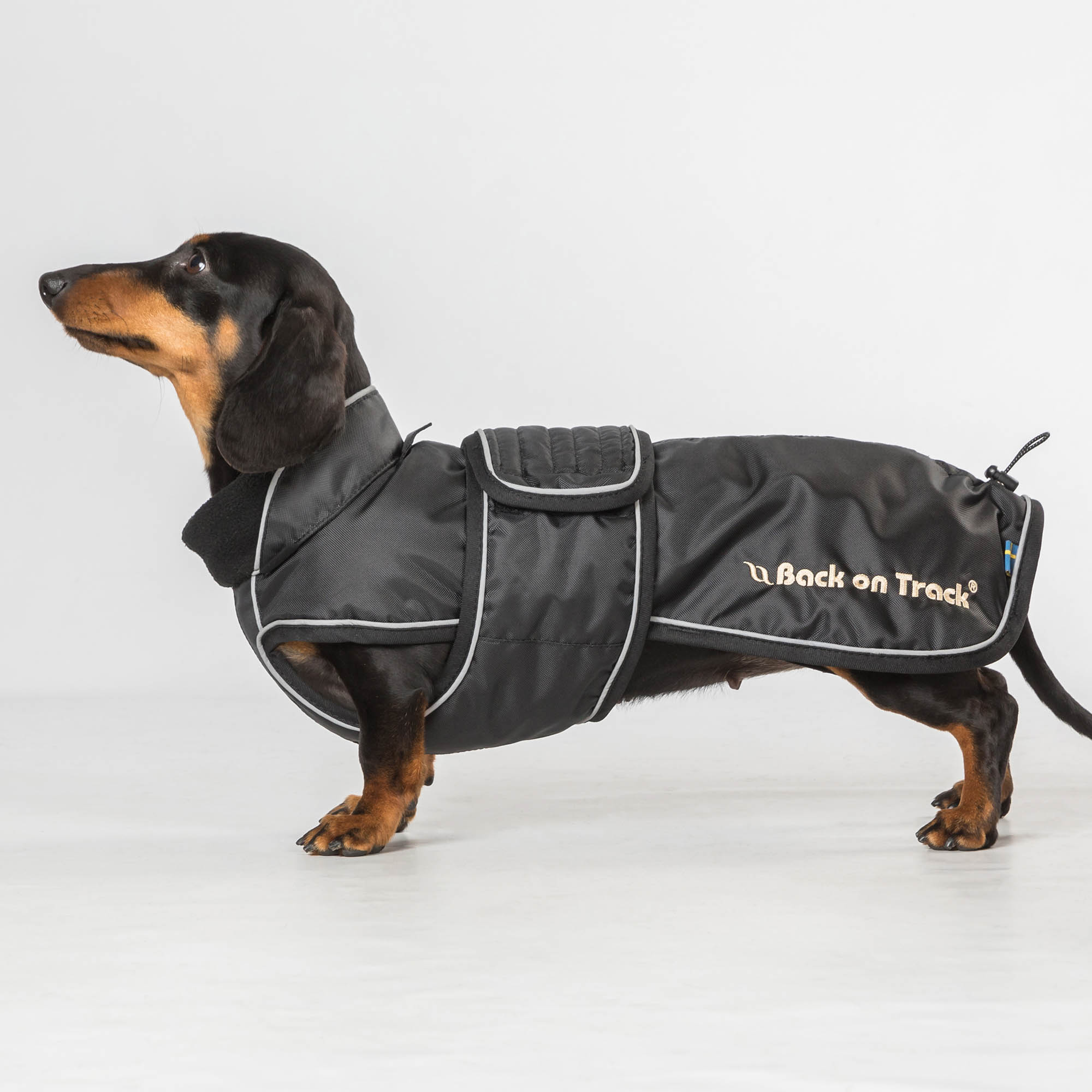 Back on Track Buddy Hundemantel