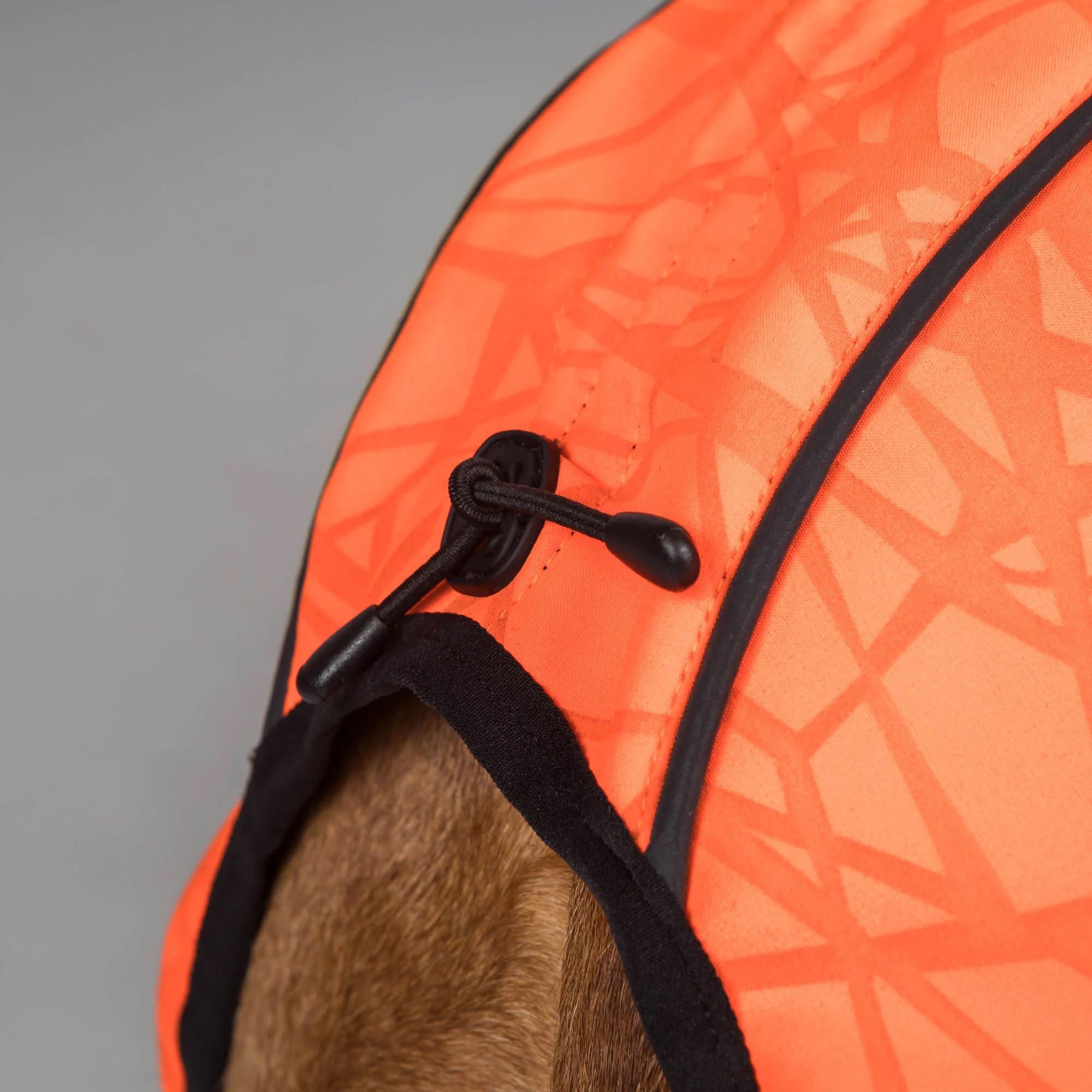Back on Track Hundemantel Bark, orange, Allwetter Mantel