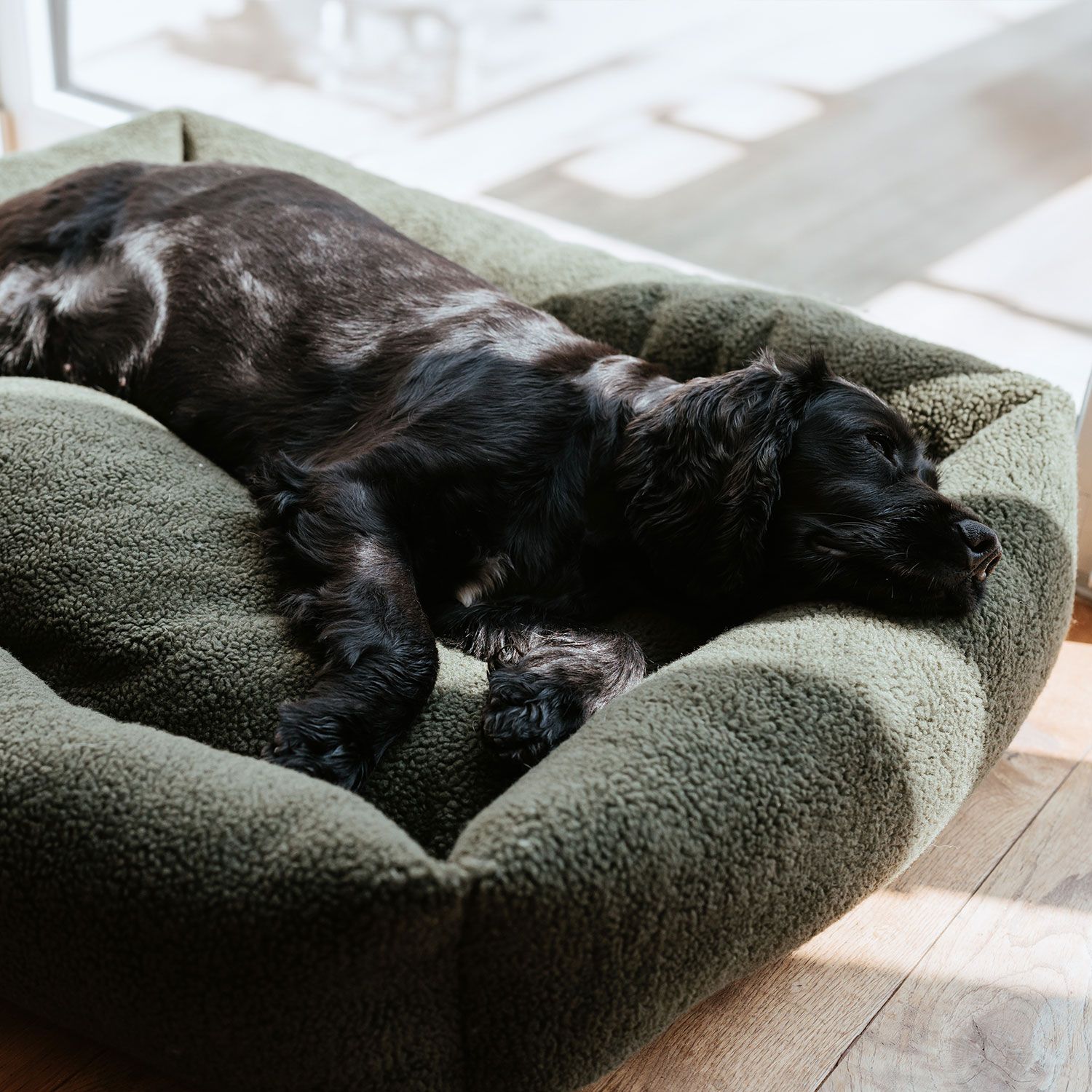 Hunter Hundesofa Kumara