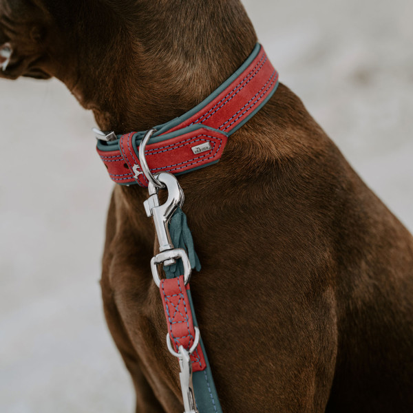 Hunter Halsband Lucca