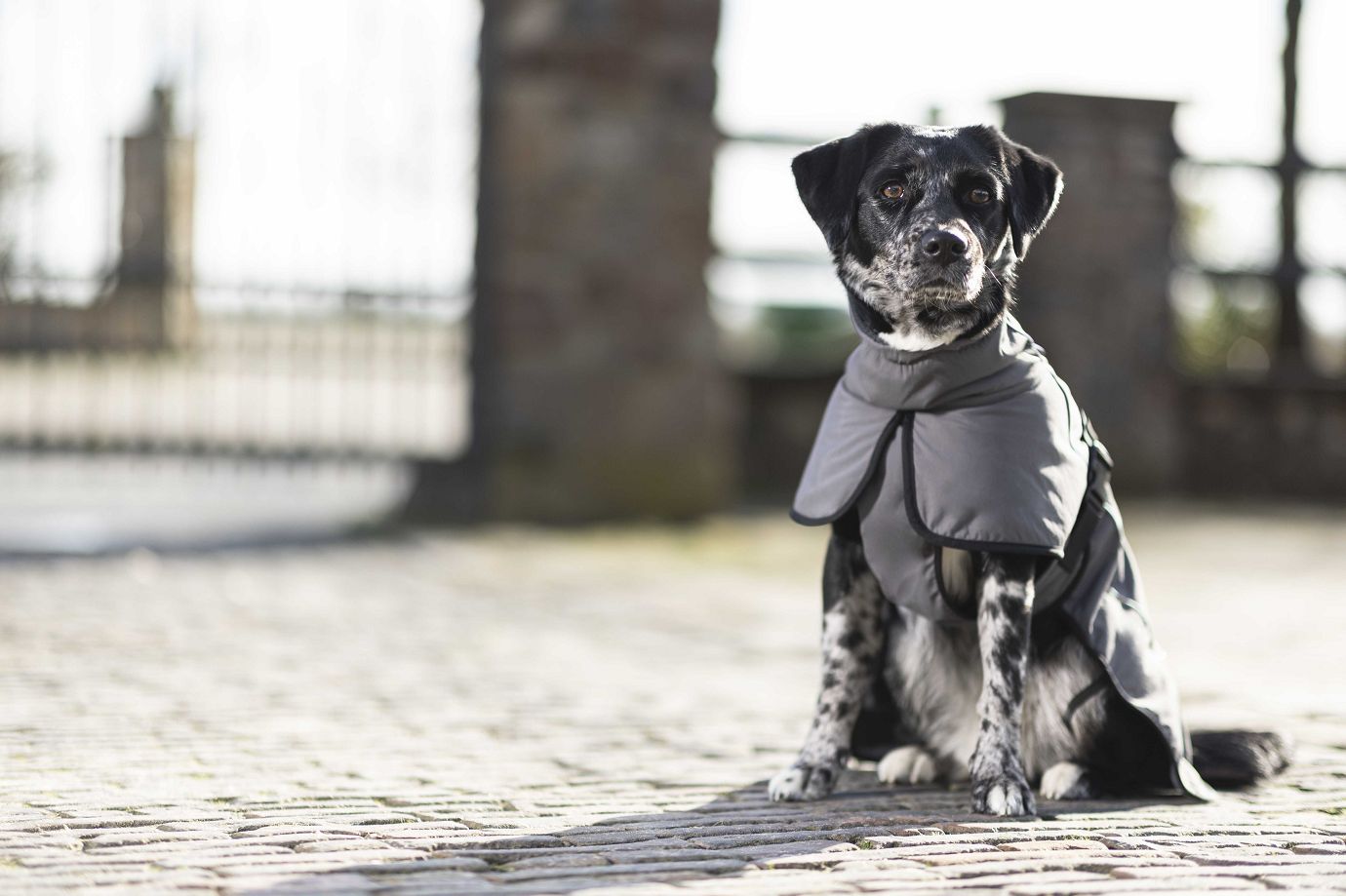 HKM Hundemantel "Buddy" dunkelgrau mit Fleecefutter,XL,Sale