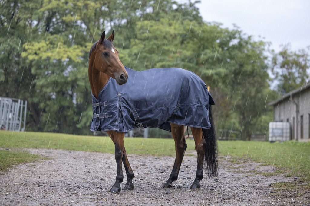 EQUITHÈME "Light", Regendecke, Weidedecke, Pferdedecke, marineblau/blau